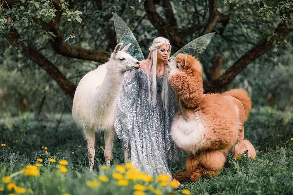 Фотосессия Лама Дрессированная на день рождения