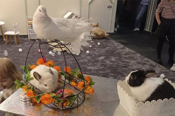 Контактный зоопарк с выездом на день рождения детский праздник